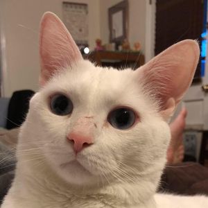 Meet your Posher, Katherine